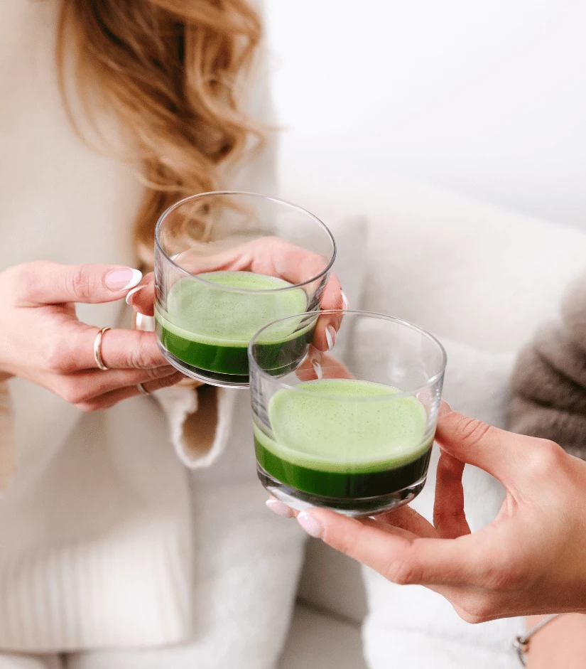 Matcha Premium z prefektury Kagoshima