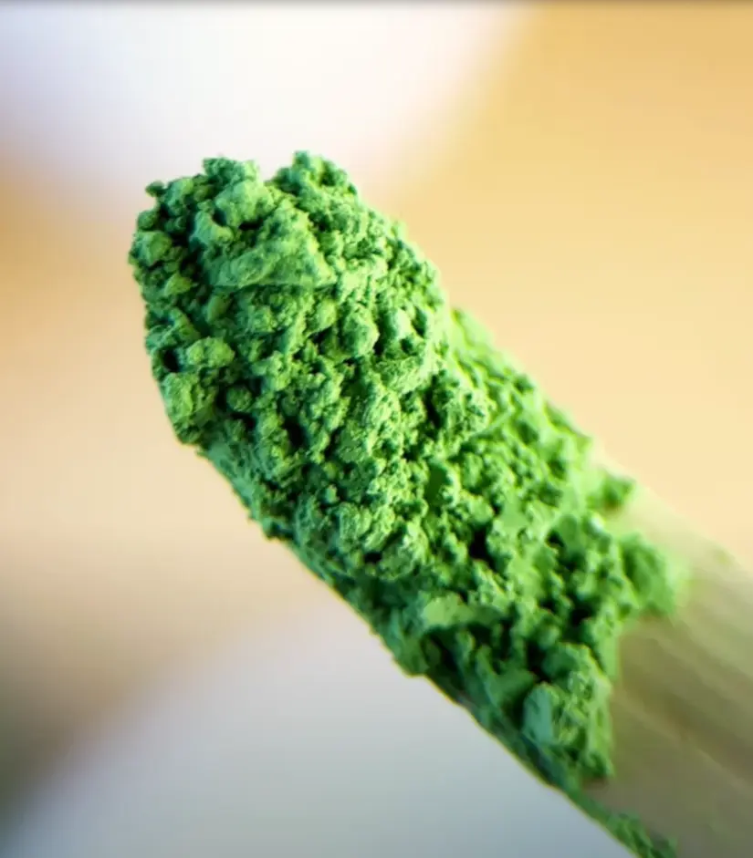 Czym jest Matcha?