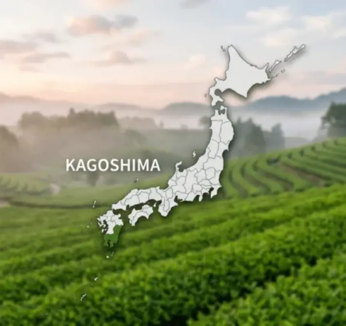 Prosto z Japonii