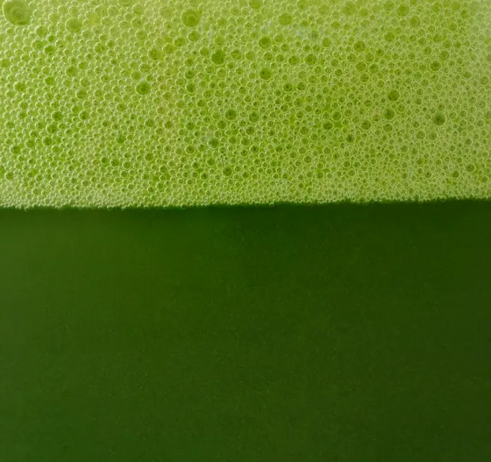 Matcha Ceremonialna z Kagoshimy