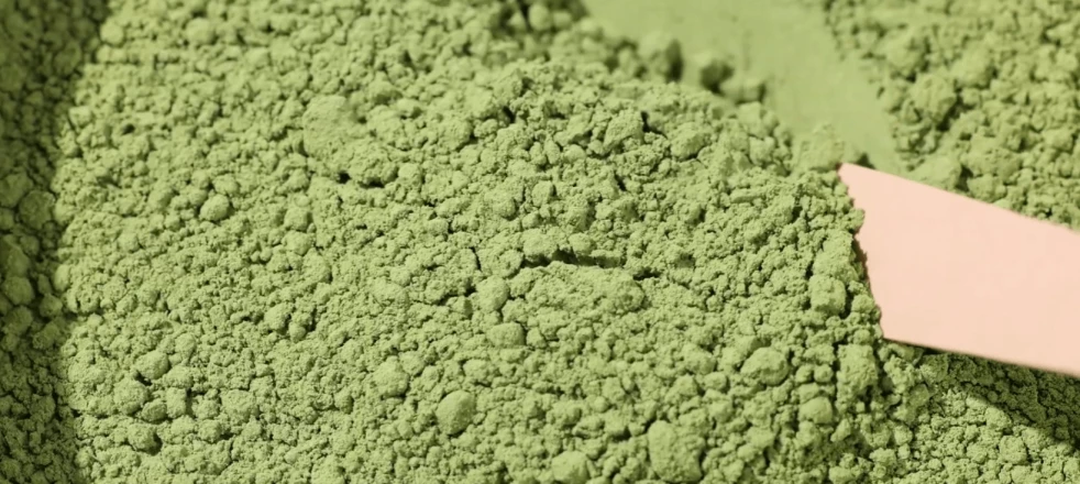 proszek matcha