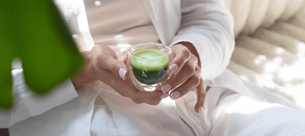 matcha ceremonialna w dłoni