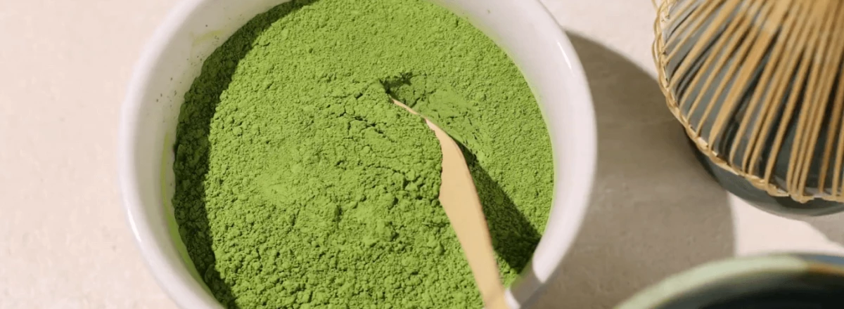 herbata matcha