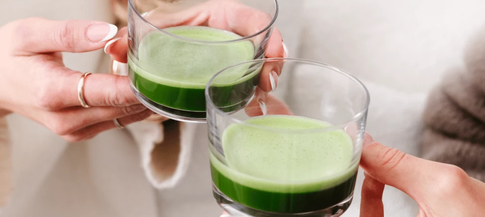 Czy matcha jest zdrowa? Korzyści zdrowotne poparte badaniami