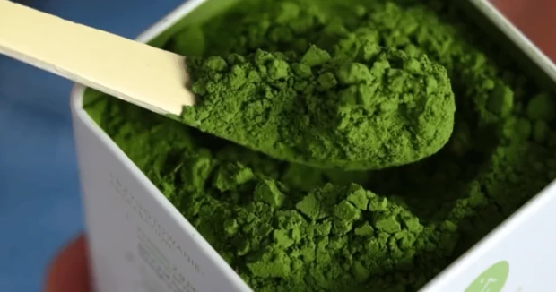 proszek matcha